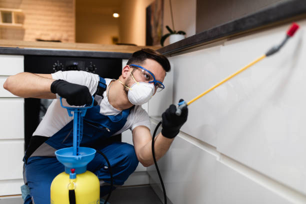 Best Best Pest Control Companies  in Marshall, WI