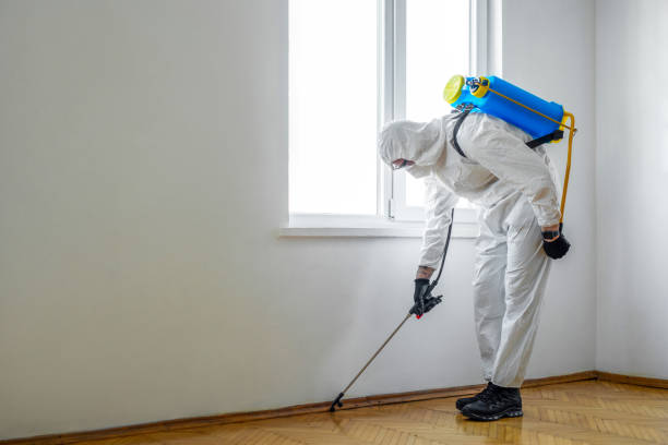 Reliable Marshall, WI Pest Control Solutions