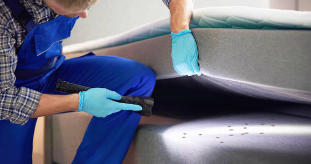 Best Best Pest Control Companies  in Marshall, WI