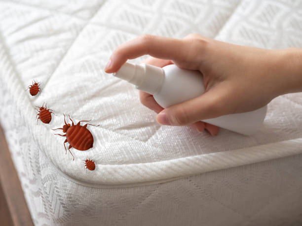Best Exterminator Services  in Marshall, WI