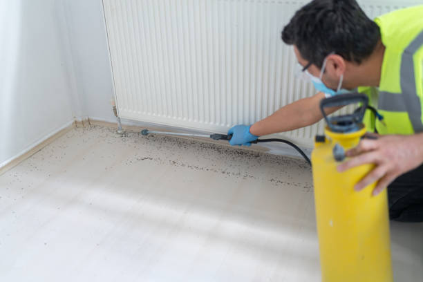 Best Affordable Pest Control Services  in Marshall, WI