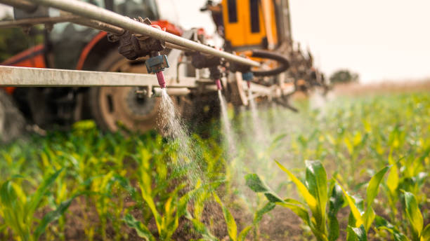 Best Insect Control  in Marshall, WI